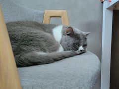 -不作·手工银饰DIY(西红门店)