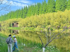 -黄海国家森林公园