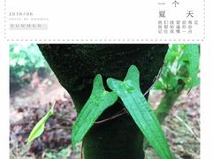 -大罗山风景区