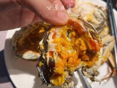 母大闸蟹-徐记海鲜(曲江南湖店)