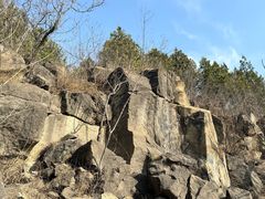 -白水寺森林公园