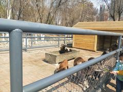 -长白岛森林公园