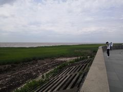 -南汇嘴观海公园