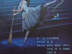-中央芭蕾舞团·中芭艺蕾(酒仙桥明星校区)