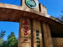 -五营红松林海景区