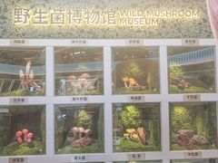 -芸山季·云南野生菌火锅(南翔印象城MEGA店)