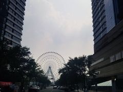-金鸡湖桃花岛