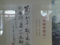 -柳侯公园