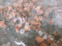 -阔澜蒸汽海鲜自助