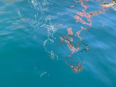 -玫瑰海岸文化旅游度假区