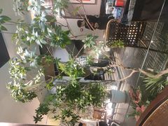 -杏花村水席楼·洛阳水席(老城十字街店)