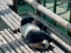 -大连森林动物园