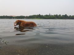 -美兰湖景区