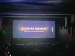 -南国影城(金光华店)