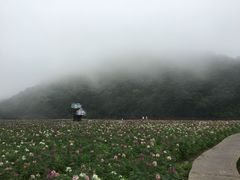-广州市石门国家森林公园