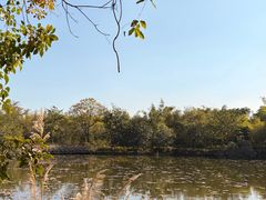 -大屏嶂森林公园