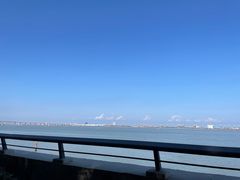 -大湾区中央湿地公园