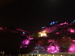 -印象普陀