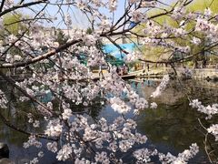 -满都海公园