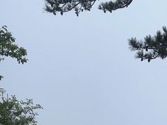 -华山风景名胜区