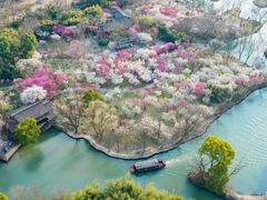 -西溪国家湿地公园