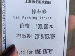 -迪士尼乐园停车场