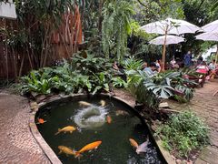 -Fern Forest Cafe