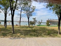 -武清南湖绿博园