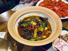 甲鱼-湘里乡亲甲王二老店