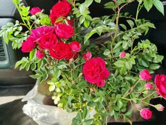 -三旗百汇商品城