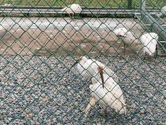 -下渚湖国家湿地公园科普馆