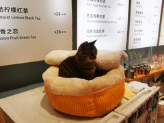 -猫的天空之城概念书店(杭州南宋御街店)