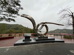 -阳台山森林公园