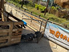 -珠海海泉湾神秘岛亲子乐园