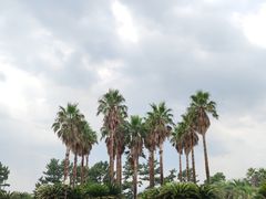 -柱状节理带