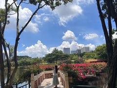 -深圳龙潭公园