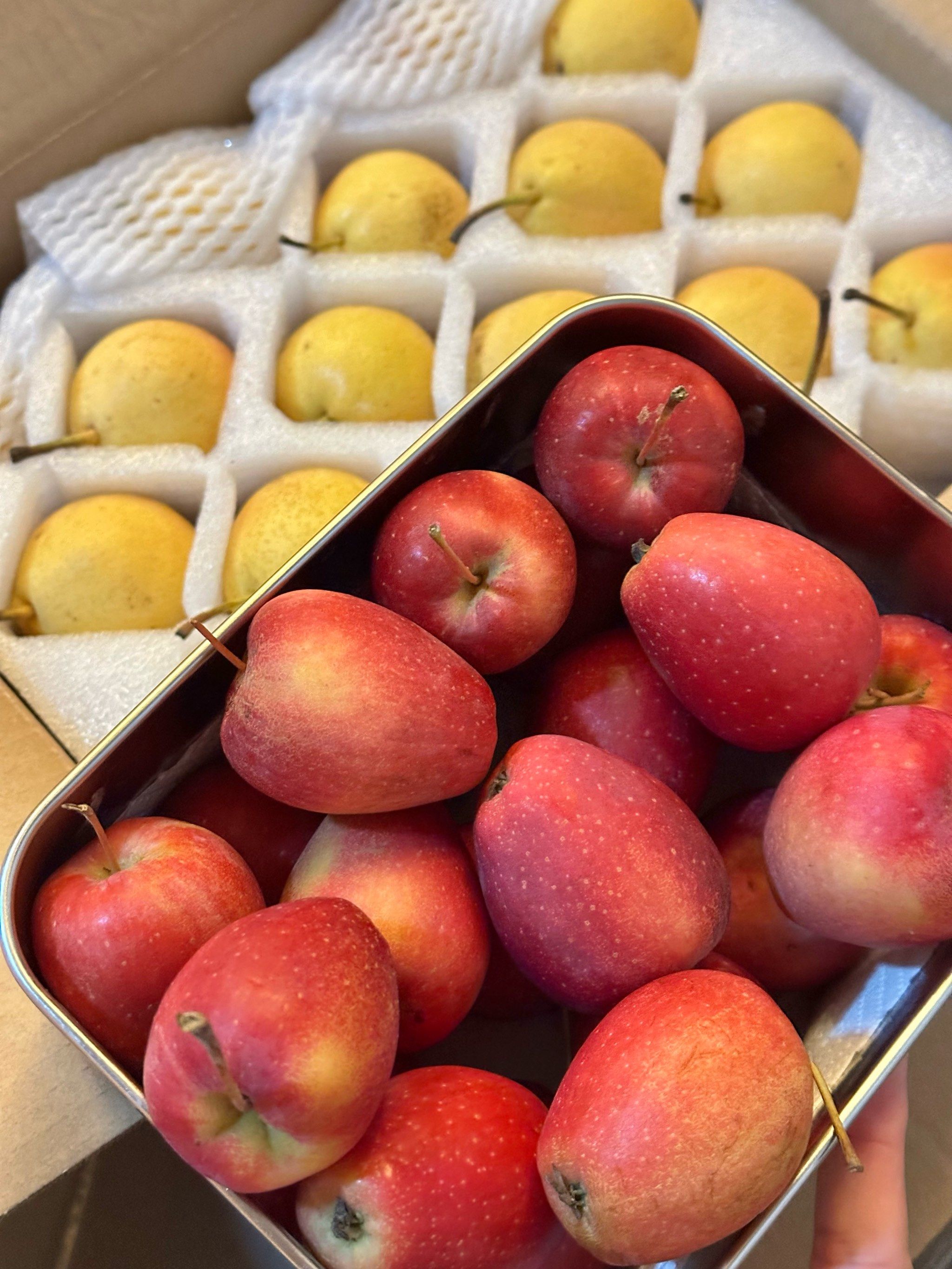 东北的水果真好吃啊