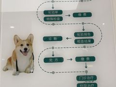 -瑞派康怡24h宠物医院·犬猫医疗中心·微创绝育(瑞景分院)