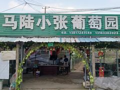 -马陆小张葡萄园农家乐