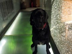 -HIHE Bistro·Oyster Bar(华熙live店)