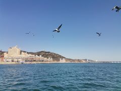 -星海广场
