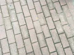 -定胜糕小店-蒋顺发