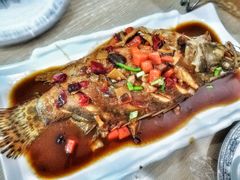 招牌臭鳜鱼-臭桂鱼儿特色餐厅(朝晖七小区北区店)