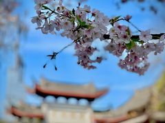 -南京城墙景区