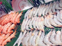 -五月罗马海鲜自助餐厅(陆家嘴店)