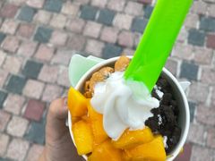 -Salud撒露欧洲冻酸奶(蓝色港湾店)