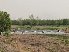 -洨河生态公园