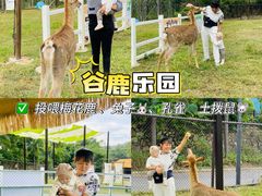 -清远熹乐谷温泉度假酒店