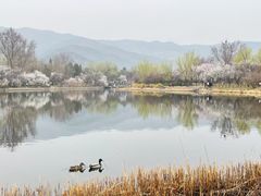 -国家植物园