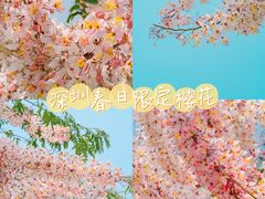 -深圳国际园林花卉博览园